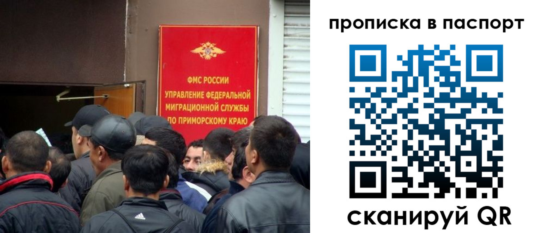 прописка поиск в Чернушке